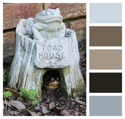 Toad House Green Toad Image